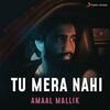 Tu Mera Nahi - Amaal Mallik